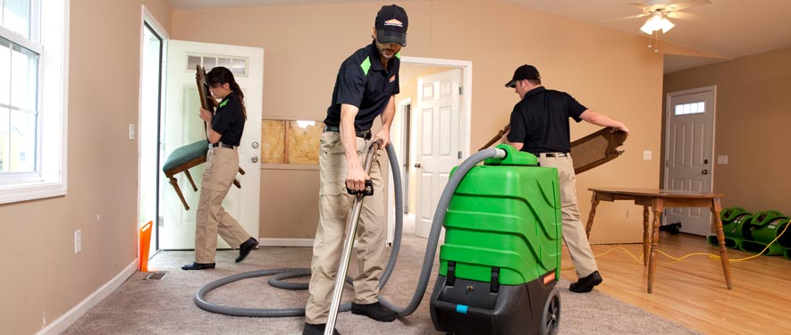 Martin, TN cleaning services
